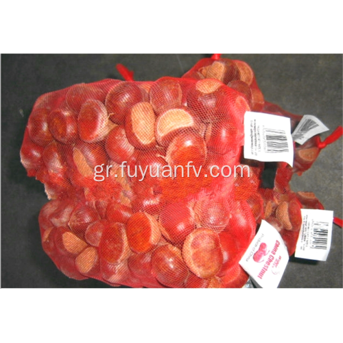Κινέζικα φρούτα φρούτων καστανιάς Dandong είδη κάστανα